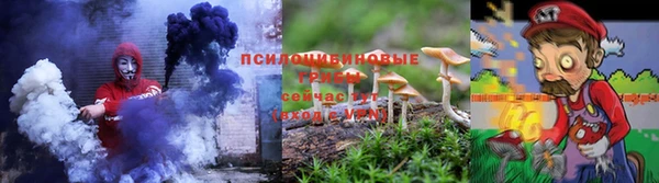 apvp Алексин