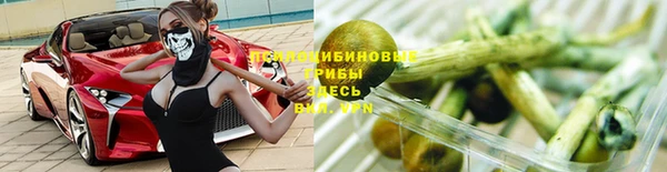 прущие крисы Пестово