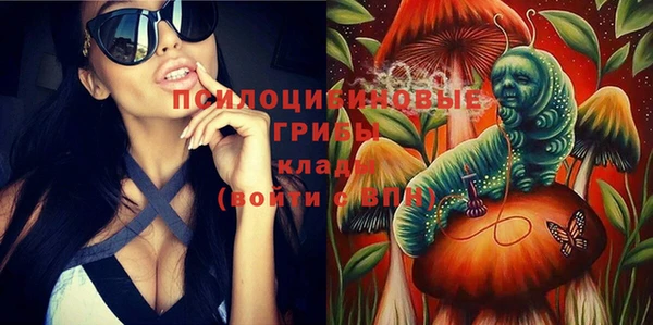 прущая мука Алзамай