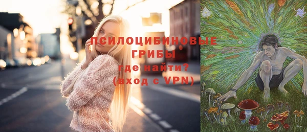 apvp Алексин